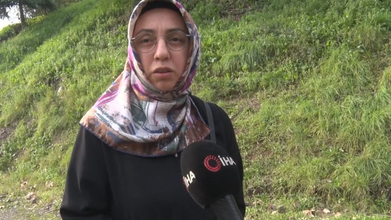 Derince'de Başıboş Köpek Sorunu Büyüyor