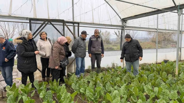 Saygınlar Kulübü Üyeleri İzmit'te Hasat Yaptı
