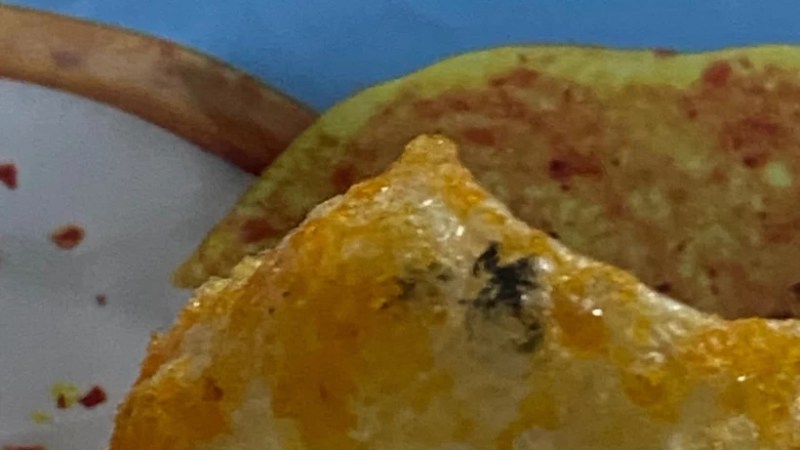 Kocaeli’de cipsin içinden böcek çıktı iddiası: Vatandaş fotoğraflarla belgeledi
