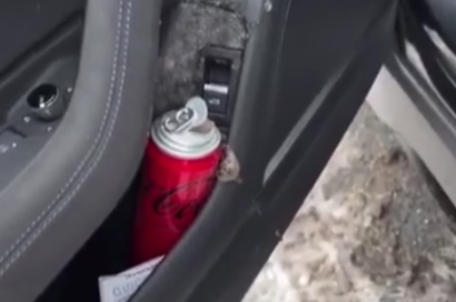 Aracınızda bunu unutmayın! Donan kola patladı, araçta hasar büyük