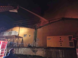 Hatay'da Narenciye Paketleme Fabrikasında Yangın: 1 İşçi Hayatını Kaybetti