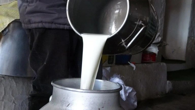 Çiğ Süt Fiyatları Açıklandı: Litre Başına 22,22 TL