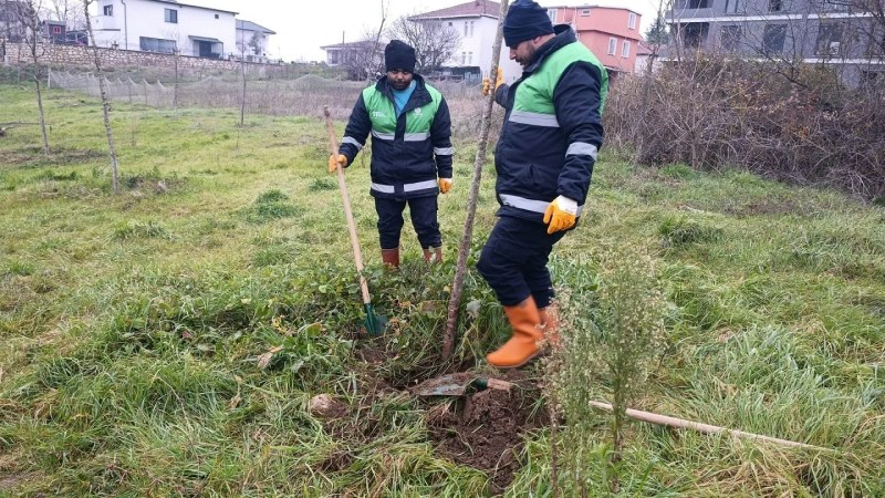 Başiskele'de Yeşil Alan Çalışmaları Sürüyor