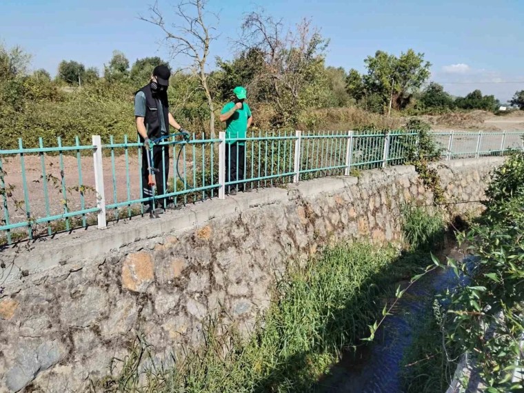 Kocaeli'de Vektörle Mücadelede 24 Milyon Metrekare Alan İlaçlandı
