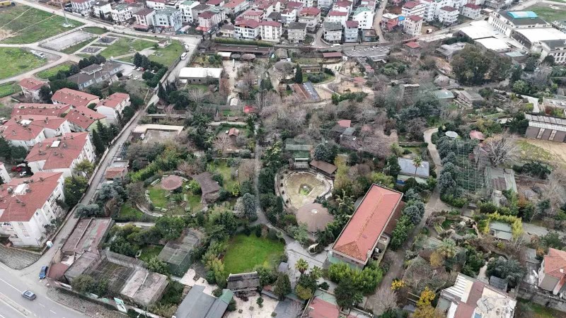 Darıca Hayvanat Bahçesi Kapandı, Hayvanlar Yeni Yuvaya Taşındı