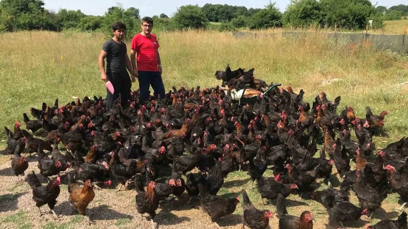 Kocaeli'de Üreticiye Yüzde 50 Hibeli Destek Başlıyor