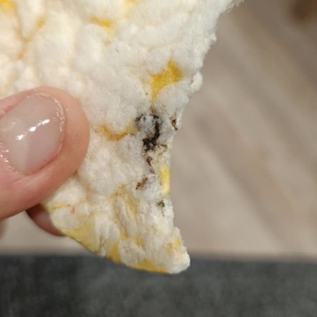 Paketi açtı şok oldu!