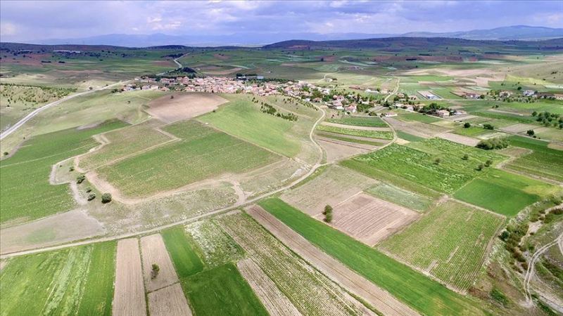 Kandıra’da 8 bin metrekarelik arazi icradan satışa çıkıyor