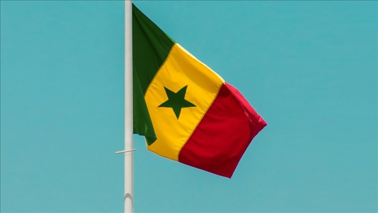 Senegal’de Fransa Bağlantılı Pedofili Çetesine Baskın