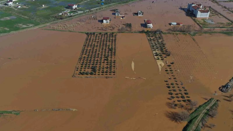 Salihli'de Su Baskını Felaketi: Gediz Nehri Taştı