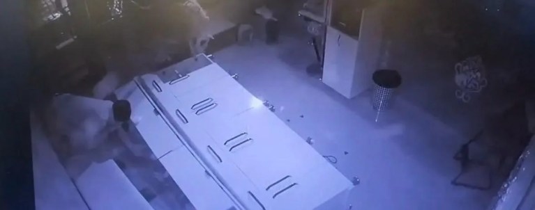 Kayseri'de Hırsızlık: Forkliftle Geldi, Eşekle Kaçtı