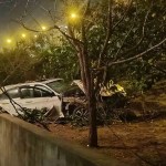Adana'da Otoyolda Meydana Gelen Feci Kaza: Sürücü Hayatını Kaybetti, Anne Yaralandı