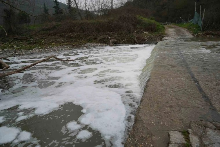 Kocaeli'de Köpüren Dere ve Ağır Koku Endişe Yaratıyor