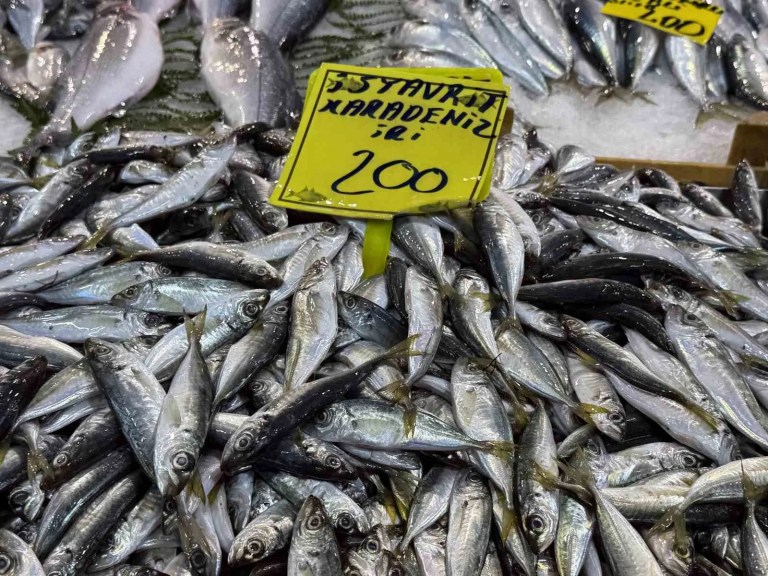 Kocaeli'de Balık Tezgahlarında Son Durum