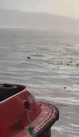 Kocaeli Körfezi'nde Deniz Çöplüğe Döndü
