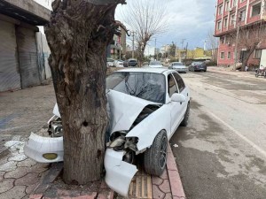 Hatay'da Ehliyetsiz Sürücü Ağaca Çarptı