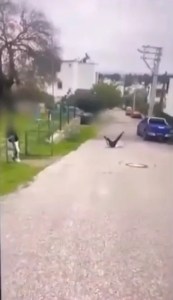 Bodrum'da Akran Zorbalığı: Çocuk Darbedilerek Bayıltıldı