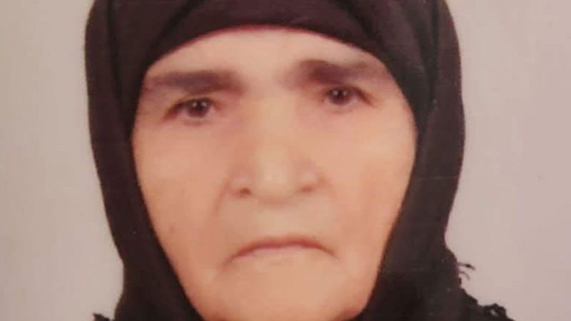 100 yaşında bir çınardı. Hayatını kaybetti