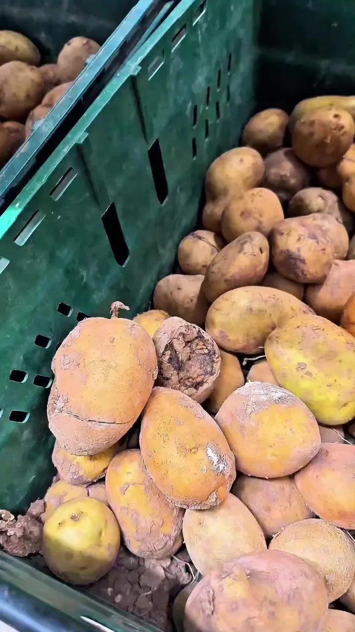 Gebze'de Marketlerde Tarihi Geçmiş Ürün Alarmı