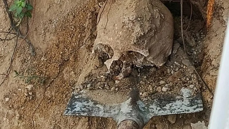 Bahçede Kazı Sırasında İnsan Kafatası ve Kemikler Bulundu