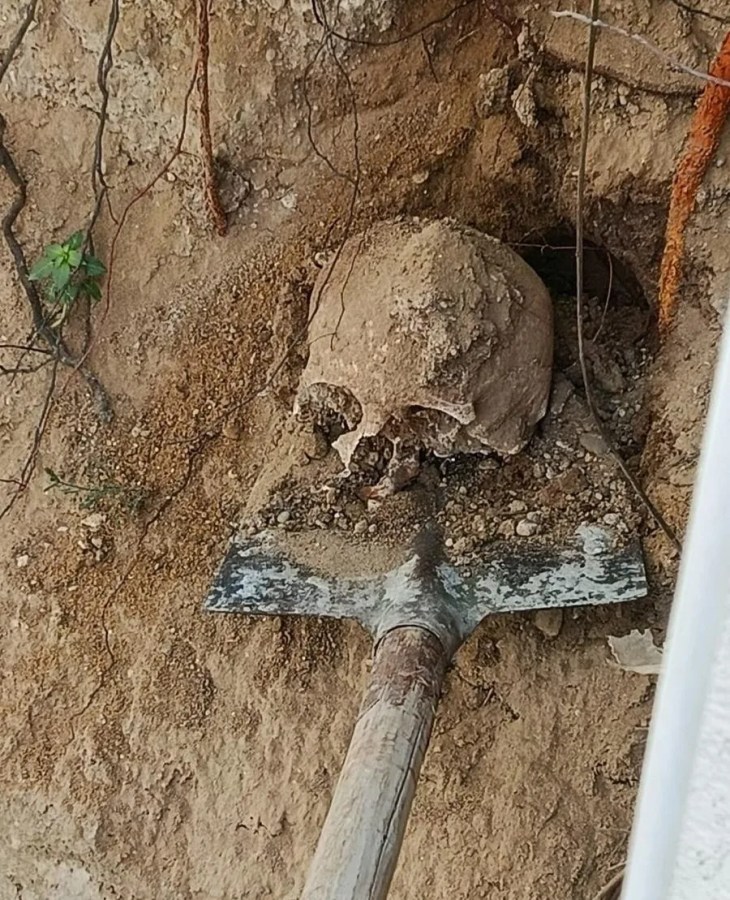 Bahçede Kazı Sırasında İnsan Kafatası ve Kemikler Bulundu
