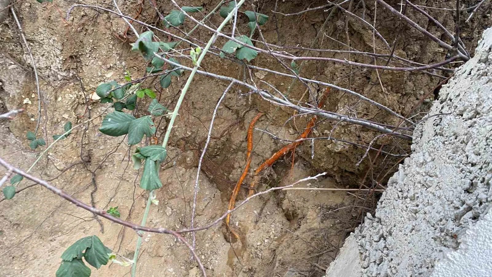 Kocaeli'de Fidan Dikimi Sırasında İnsan Kemikleri Bulundu