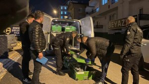 Karaman'da Genç Kadın Apart Dairede Ölü Bulundu