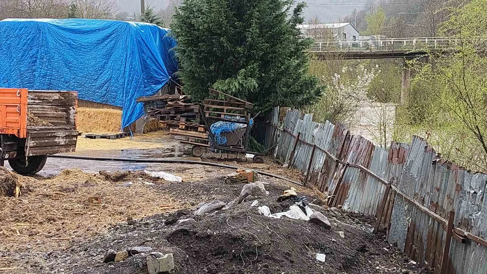 Gölcük'te Dereyi Kirleten Çiftliklere Yaptırım