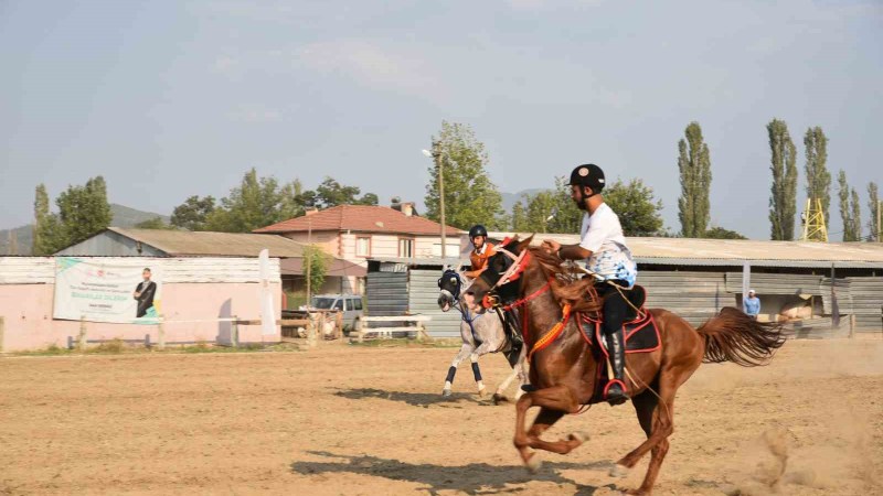 Cirit müsabakasında feci kaza: Bir at telef oldu
