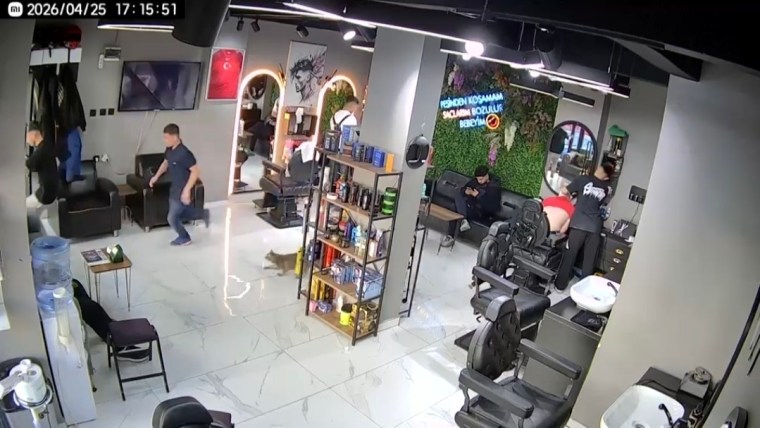 Kuaförde kedi paniği: Müşteriler kaçtı
