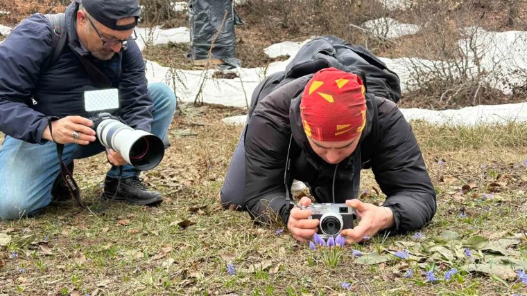 Kartepe'nin Endemik Güzelliği: Keltepe Çiğdemi Foto Safari Etkinliğinde Görüldü