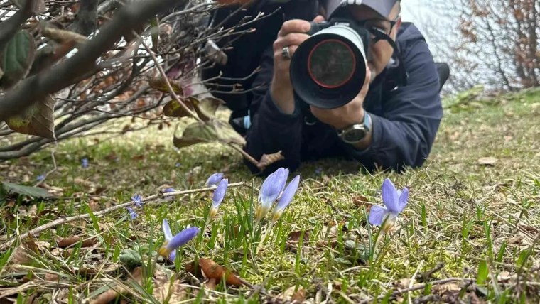 Kartepe'nin Endemik Güzelliği: Keltepe Çiğdemi Foto Safari Etkinliğinde Görüldü
