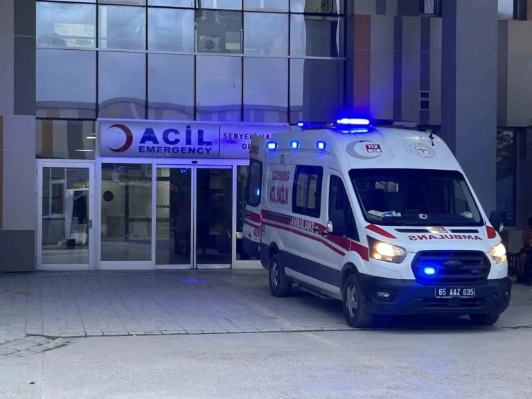 Köpek Saldırısı: 5 Yaşındaki Çocuk Hayatını Kaybetti