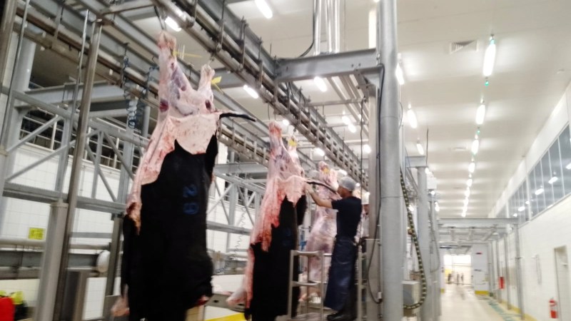 Büyükşehir Mezbahası’nda kurban mesaisi tamamlandı