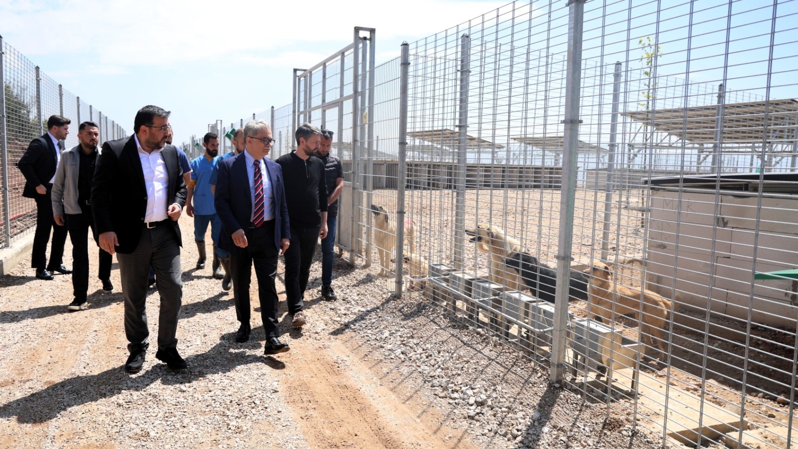 Umuttepe’de 650 köpek kapasiteli yeni barınak hizmete açıldı