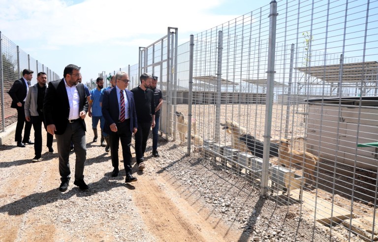 Umuttepe’de 650 köpek kapasiteli yeni barınak hizmete açıldı