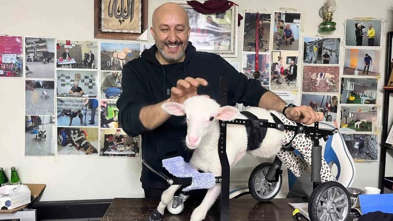 Demir Ustası Abdülmenaf Çelik, Felçli Hayvanlara Umut Oluyor