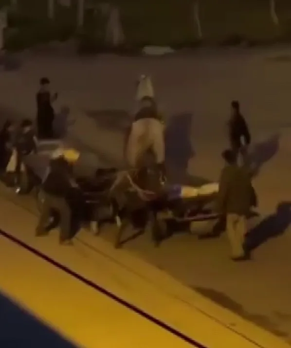 Adana'da Atlara Yapılan İşkence Kameralara Yansıdı