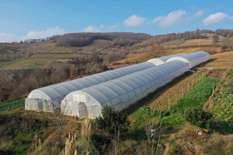 Kocaeli’de seraları zarar gören çiftçilere destek