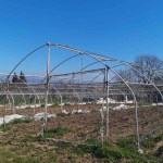 Kocaeli'de Seraları Zarar Gören Çiftçilere Destek