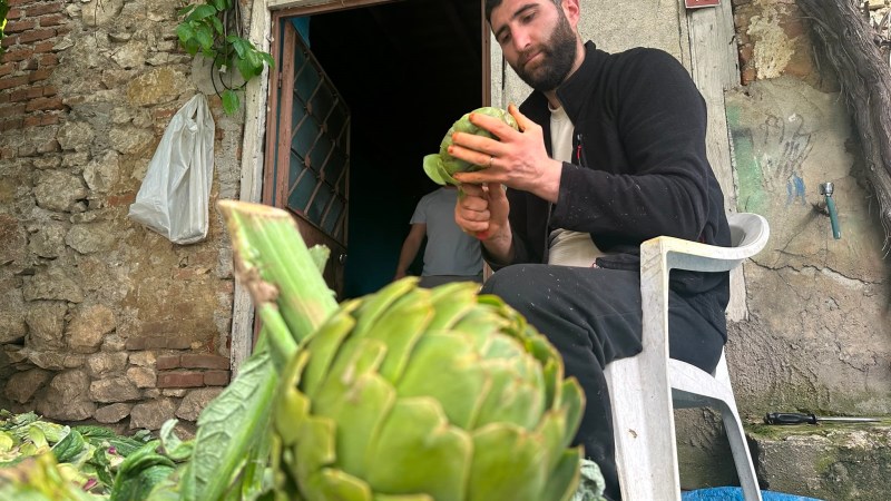 Enginar soyarak aylık 240 bin lira gelir elde ediyor