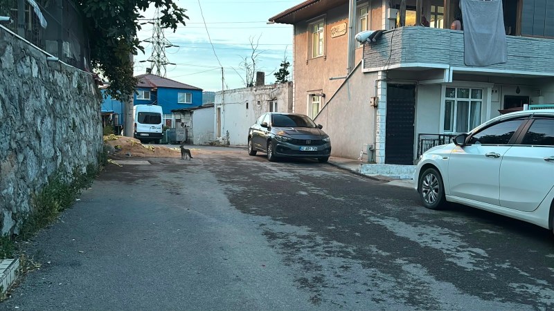 Dilovası’ndaki cinayette yeni detaylar ortaya çıktı