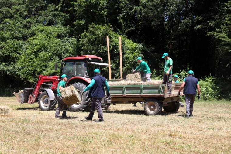 Ormanya kendi yemini üretiyor