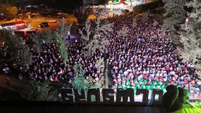 Ormanya'da Gece Sineması başlıyor!