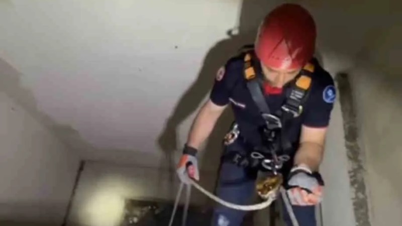 Apartman boşluğuna düşen martı kurtarıldı!