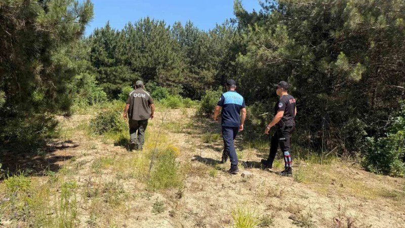 Dilovası'nda orman yangını denetimi!