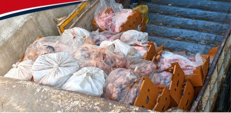 5,5 ton etiketsiz et ve et ürünü ele geçirildi