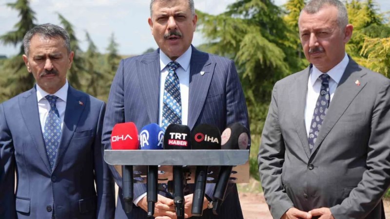Sokak hayvanlarının yüzde 92'si barınaklarda!
