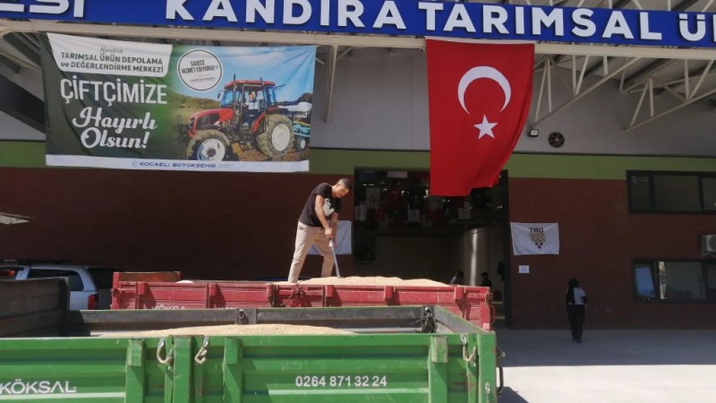 Kandıra'da çiftçiye büyük güvence! - 2. görsel
