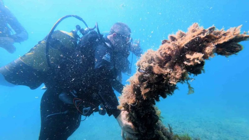 Kerpe Antik Limanı dalış turizmine açılıyor